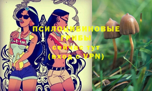 мяу мяу кристалл Горно-Алтайск