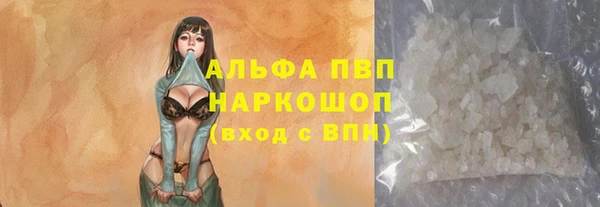 шишки Аркадак