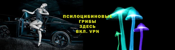 прущая мука Арсеньев
