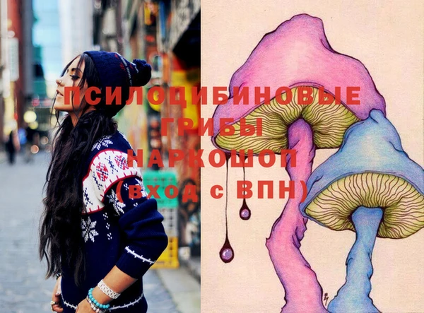 прущая мука Арсеньев