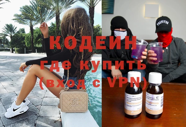 ГАЛЛЮЦИНОГЕННЫЕ ГРИБЫ Вязники