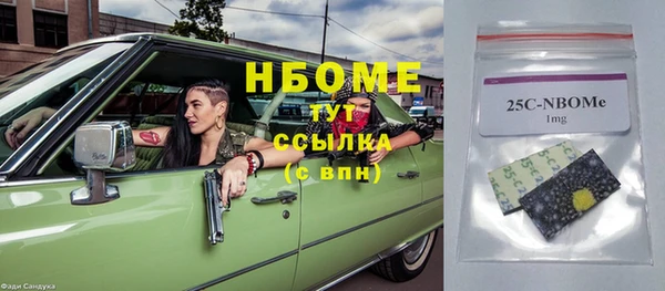 индика Вязьма