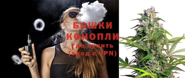 шишки Аркадак