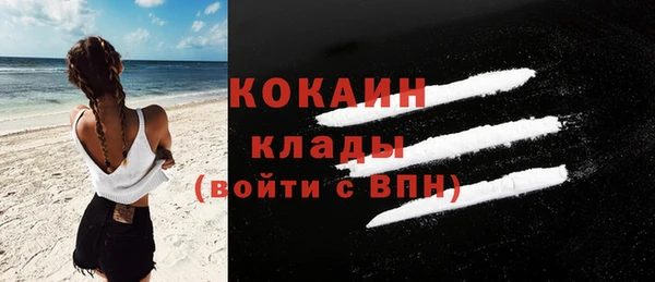 шишки Аркадак