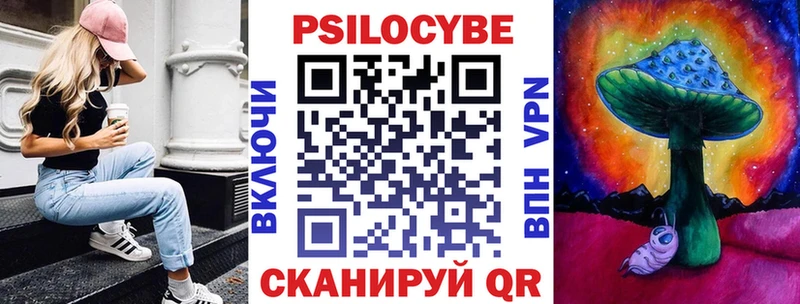Псилоцибиновые грибы Psilocybe  Новомосковск 